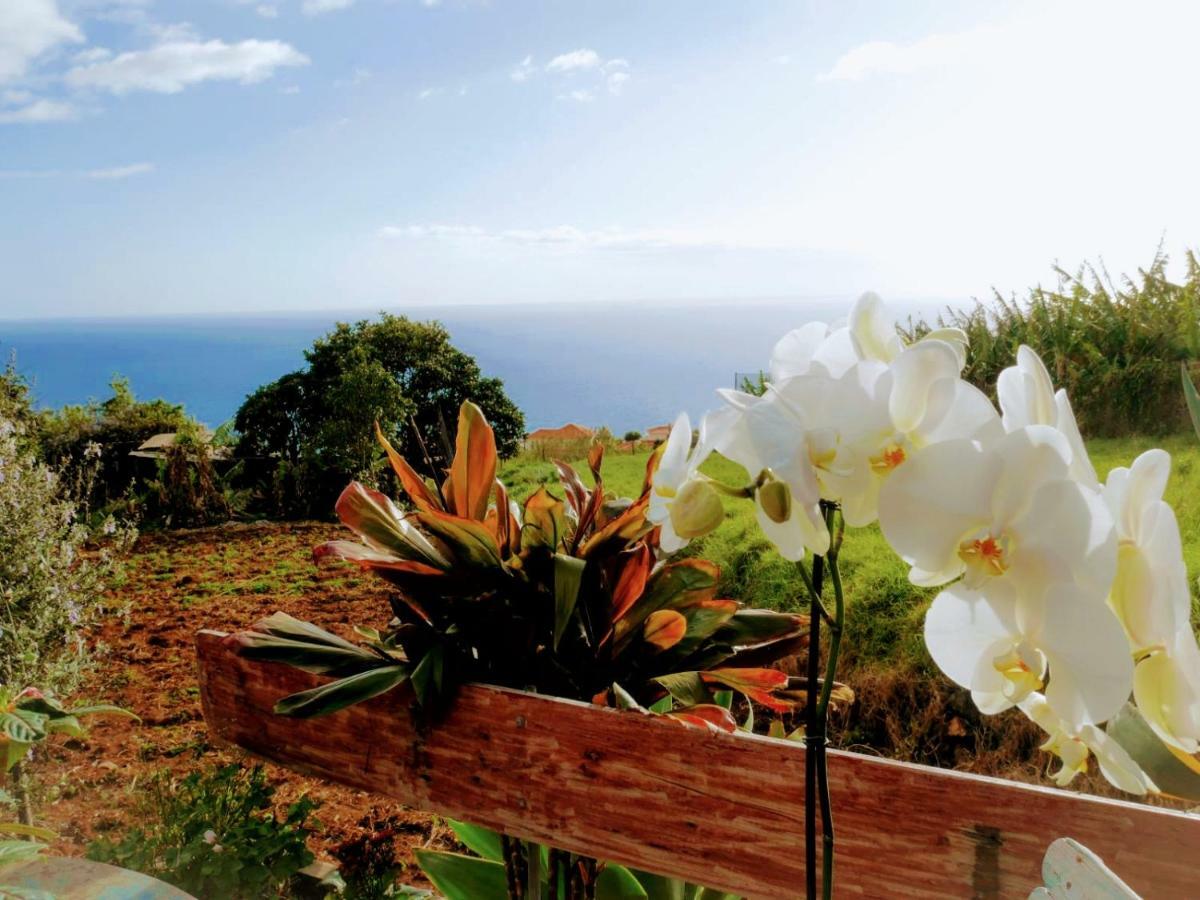 Casas Serenas Estreito Da Calheta Εξωτερικό φωτογραφία