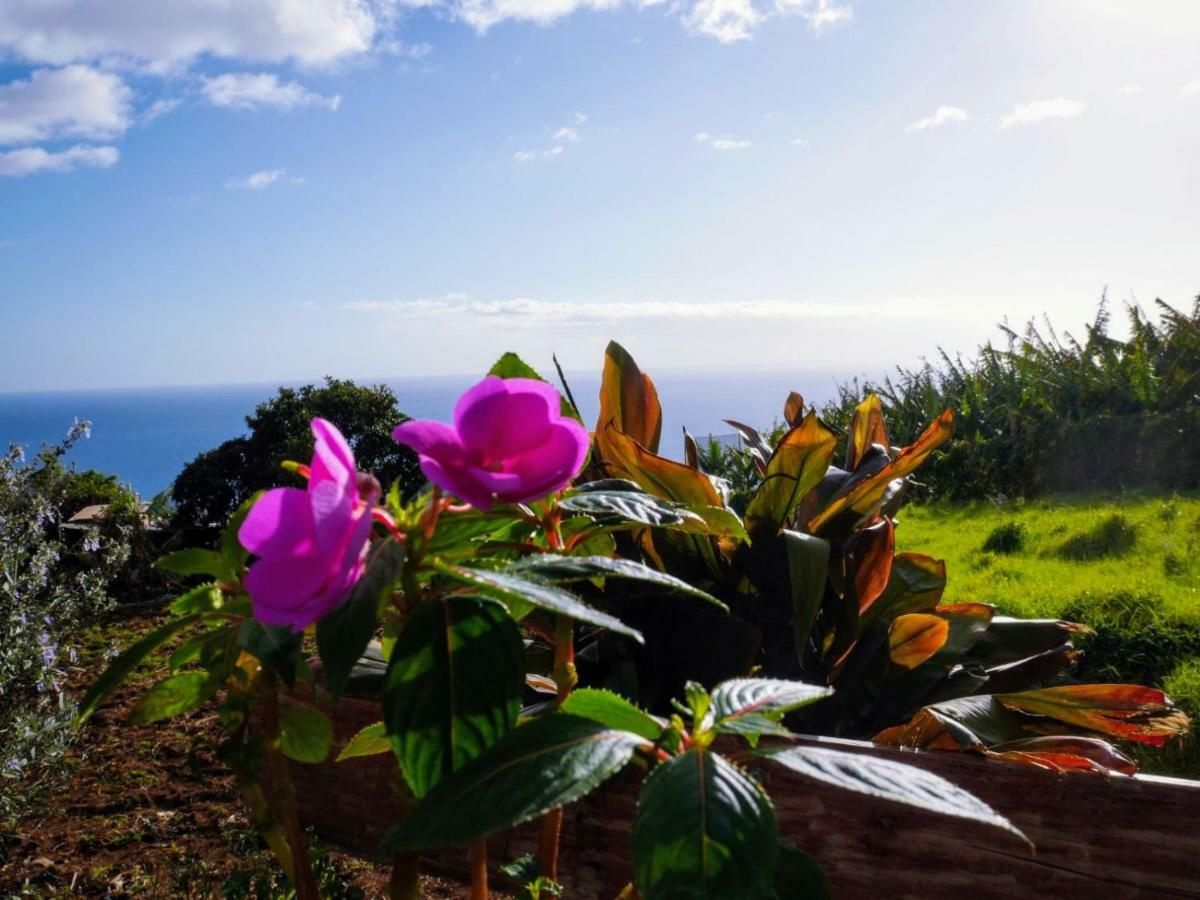 Casas Serenas Estreito Da Calheta Εξωτερικό φωτογραφία