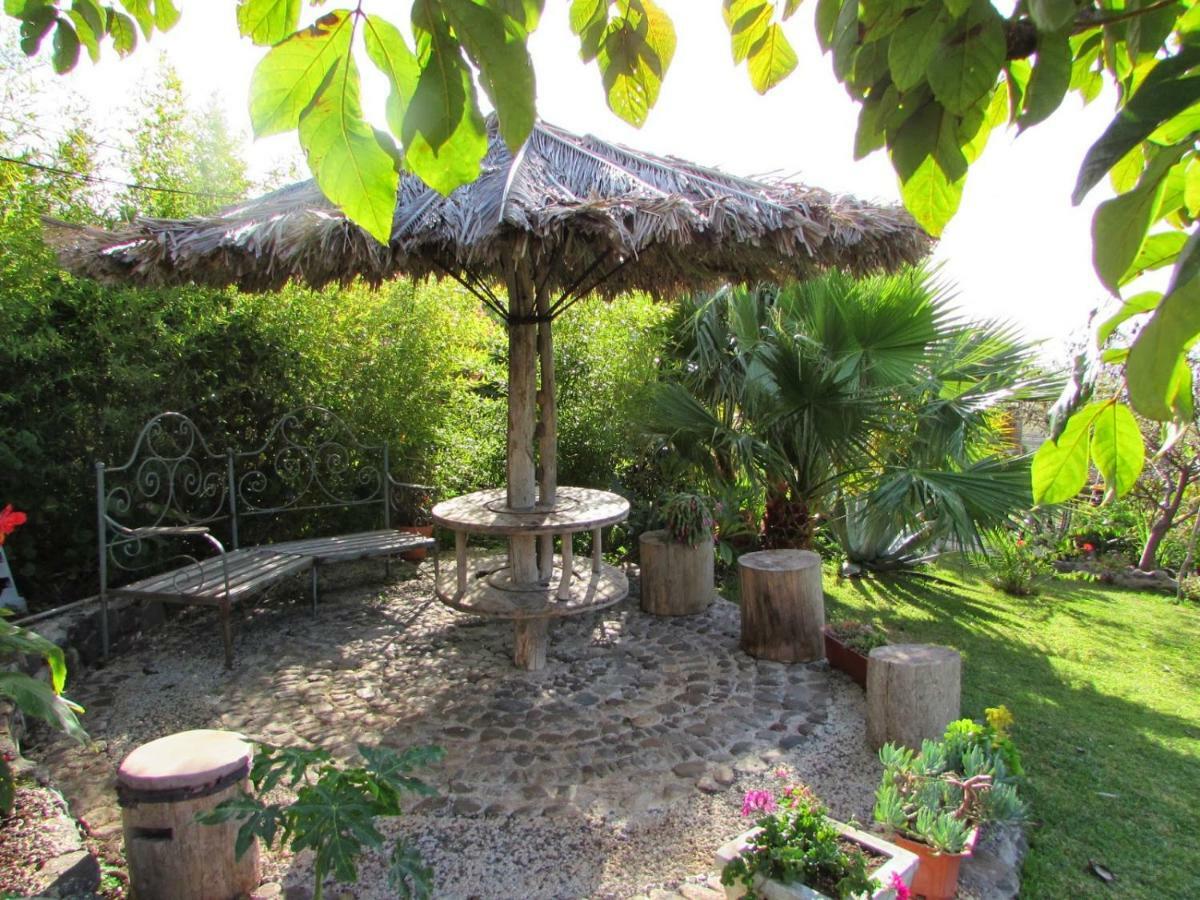 Casas Serenas Estreito Da Calheta Εξωτερικό φωτογραφία